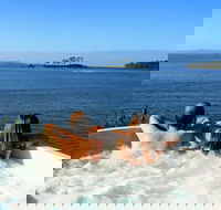 The Shackeau - Accommodation Ballina