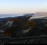 Whale Watch Ocean Beach Resort