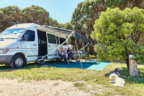 Anglesea Family Caravan Park - Accommodation Ballina 2