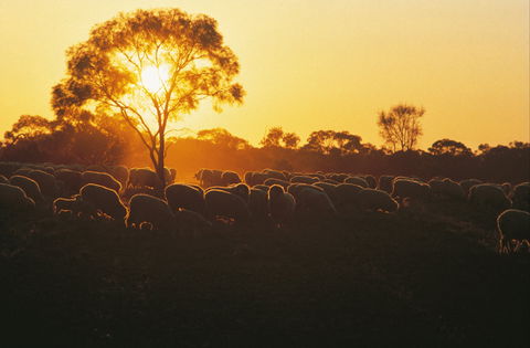 Clandulla Cottages & Farmstay - Accommodation Ballina 0