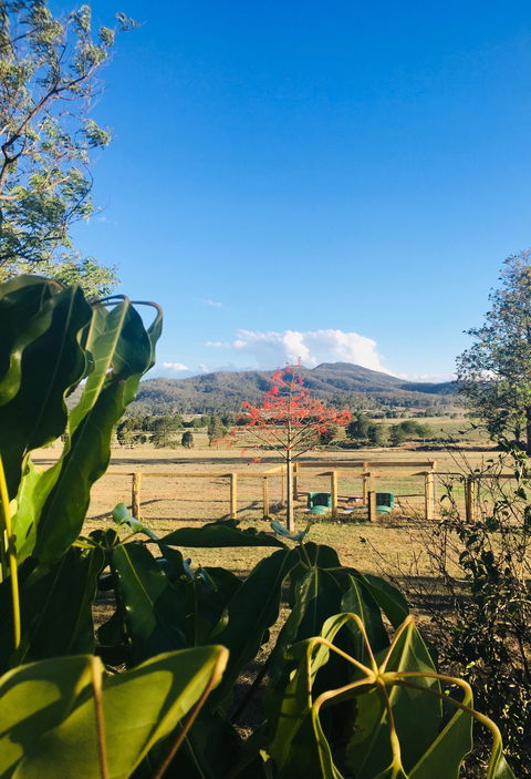 Clandulla Cottages & Farmstay - Accommodation Ballina 2