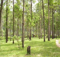 Nymboida River campground - Accommodation Ballina