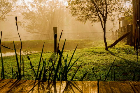 Tobruk Sydney Farm Stay - Accommodation Ballina 1