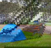 Violet Hill campground and picnic area - Accommodation Ballina