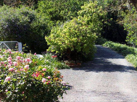 Brown's House Bed & Breakfast - Accommodation Ballina 2