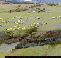 Camp on Allyn - Accommodation Ballina