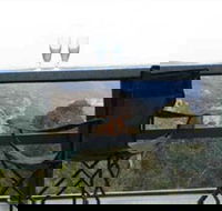 Hatters Hideout Lyres Loft - Accommodation Ballina