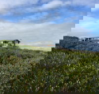 Taraki Lodge - Accommodation Ballina