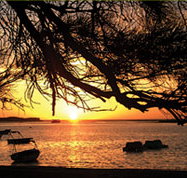 Pelican's Nest - Accommodation Ballina