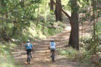 Craigmhor Mountain Retreat - Accommodation Ballina 2