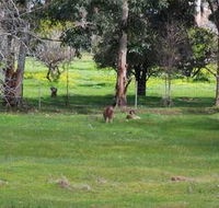 Chalets on Stoneville