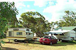Ravensthorpe Caravan Park - Accommodation Ballina 2