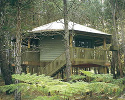 Possums Hideaway - Accommodation Ballina 0