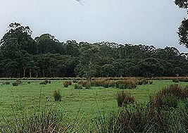 Bush Haven - Accommodation Ballina 4