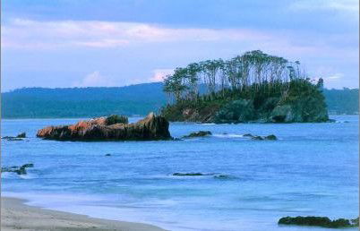 Edgewater Gardens - Accommodation Ballina 2