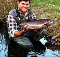 Clover Cottage Country Retreat - Accommodation Ballina