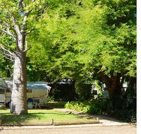 Town Caravan Park - Accommodation Ballina