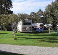 Pinjarra Caravan Park - Accommodation Ballina