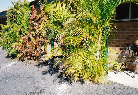 Bulahdelah Myall Motel - Accommodation Ballina 4