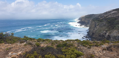 Amoria Beach House - Accommodation Ballina 2