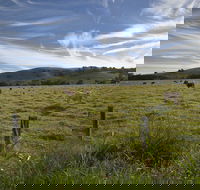 Annas Retreat - Accommodation Ballina