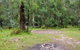 Blue Gum Flat Campground - thumb 0