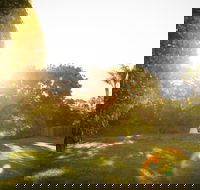 Comfort Inn and Suites Robertson Gardens - Accommodation Ballina