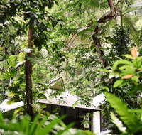 Daintree Ecolodge - Accommodation Ballina