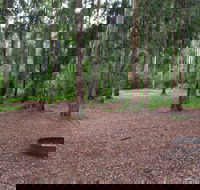 Murphys Glen campground - Accommodation Ballina