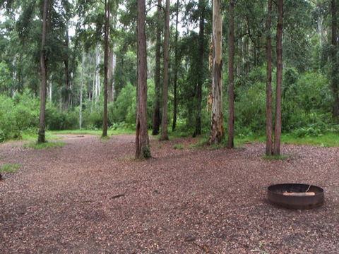 Murphys Glen Campground - Accommodation Ballina 0