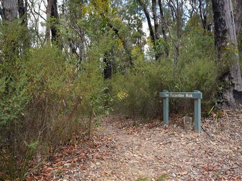Murphys Glen Campground - Accommodation Ballina 2