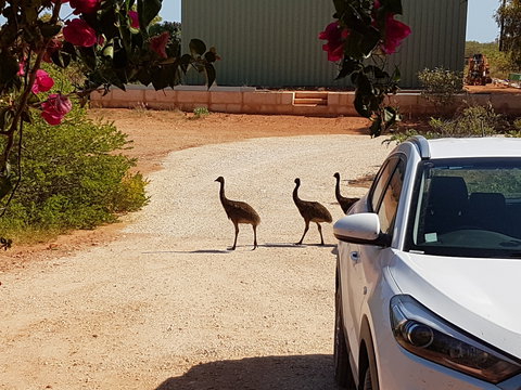 Ningaloo Bed And Breakfast - Accommodation Ballina 1
