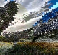 Nunnock campground - Accommodation Ballina