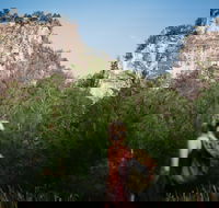 Sandstone Park Carnarvon Gorge - Accommodation Ballina