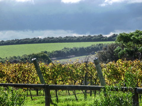 Suma Park Estate - Accommodation Ballina 1