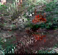 Woodlands Rainforest Retreat - Accommodation Ballina