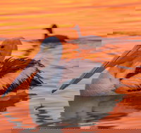 4 Pelican Court - River Shack Rentals - Accommodation Ballina