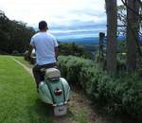 Amelies - Accommodation Ballina 2