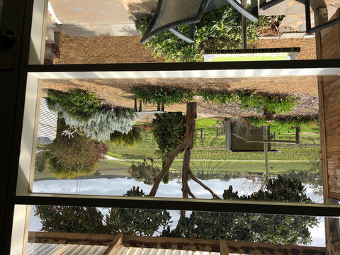 Bed In A Shed Unique Vineyard Accommodation - Accommodation Ballina 0