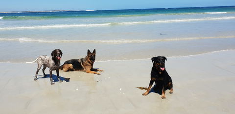 BIG4 Warrnambool Figtree Holiday Park - Accommodation Ballina 2