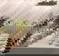 Canberra Rex Hotel - Accommodation Ballina