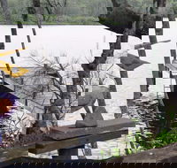 Clyde River Cottage - Accommodation Ballina