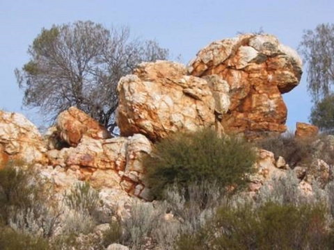 Credo Homestead Camp At Credo Conservation Park - Accommodation Ballina 0
