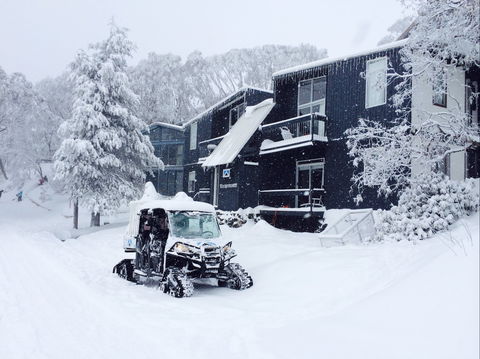 Kilimanjaro Alpine Apartments - Accommodation Ballina 2