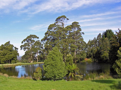 Newry Park Cottage - Accommodation Ballina 1