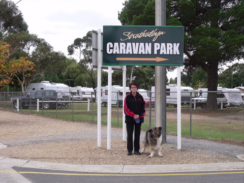 Strathalbyn Caravan Park - Accommodation Ballina 0