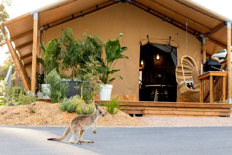BIG4 Anglesea Holiday Park - Accommodation Ballina 2