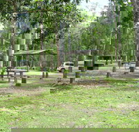 Broadwater camping area Abergowrie State Forest - Accommodation Ballina