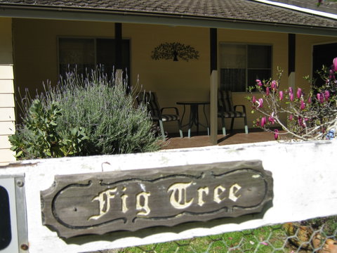 Figtree Cottage - Accommodation Ballina 0