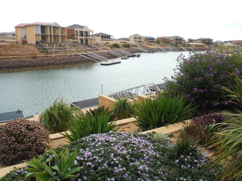 Happy Gilmore - Accommodation Ballina 0